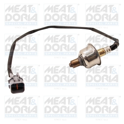 Oxygen Sensor